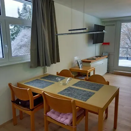 Apartament Bayerwald Sankt Englmar
